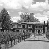 Casa Rondeña Winery