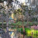 Magnolia Plantation