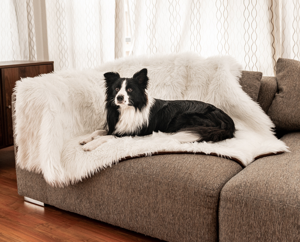 PupProtector™ Waterproof Throw Blanket