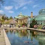 Brooklyn Botanic Garden