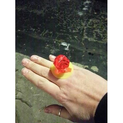 The first ring in 2013!