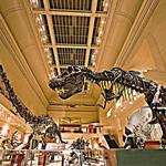 Smithsonian National Museum of Natural History