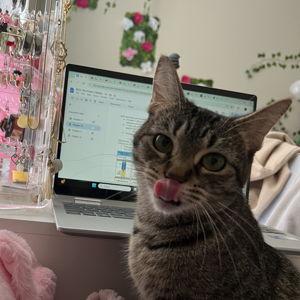 Tequila's Chewy Subscription