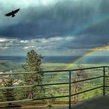 The Buffalo Bill Museum and Grave
