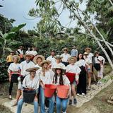 Coffee Farm Tour