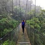 Mistico Arenal Hanging Bridges Park