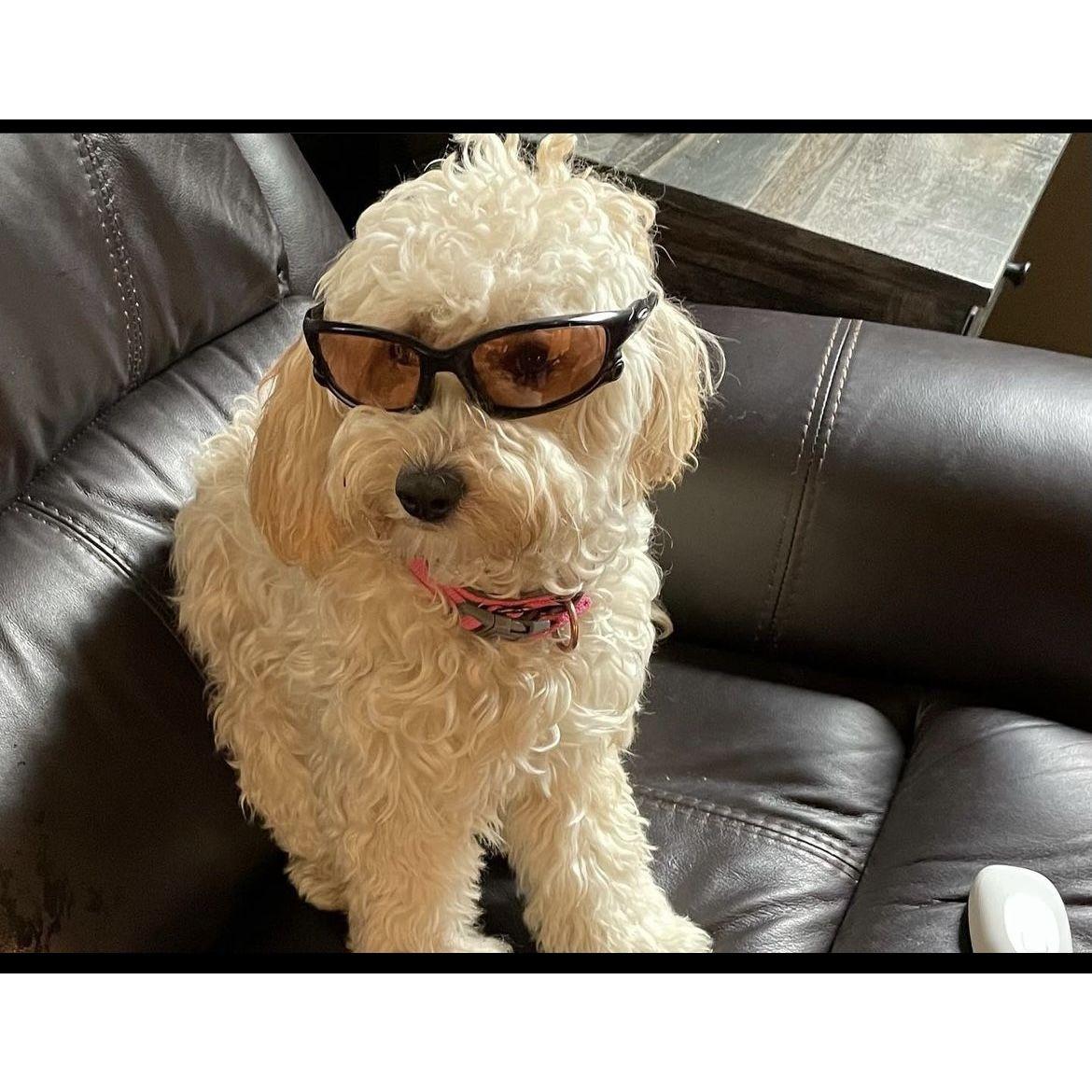 The coolest baby girl Cyra.