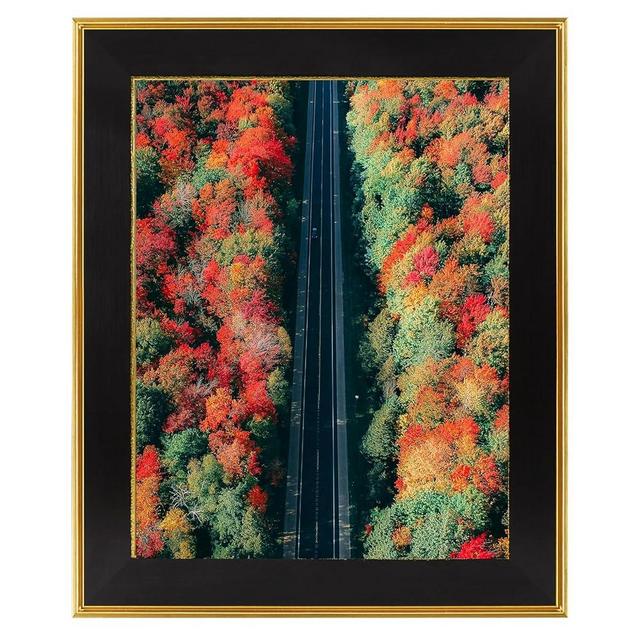 Space Art Deco, 11x14 Picture Frame Without Mat for 11x14 Photo/Print/Poster, High Definition Real Glass for Wall Mounting (Classic Gold/Black)