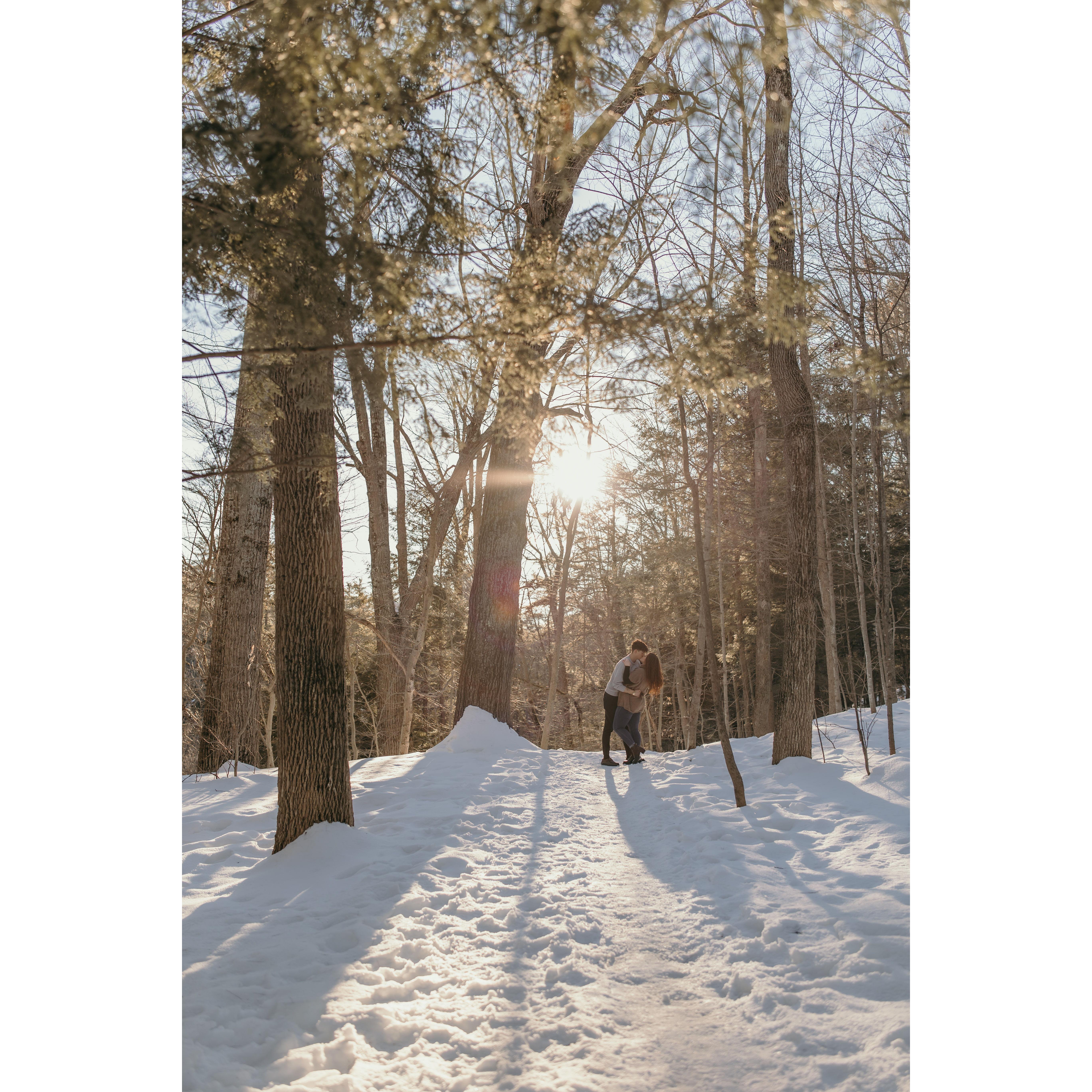 Engagement pictures at Vaughan Woods