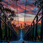 SkyBridge Michigan
