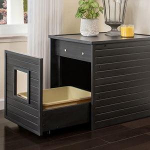 Cat End Table and Discreet Litterbox