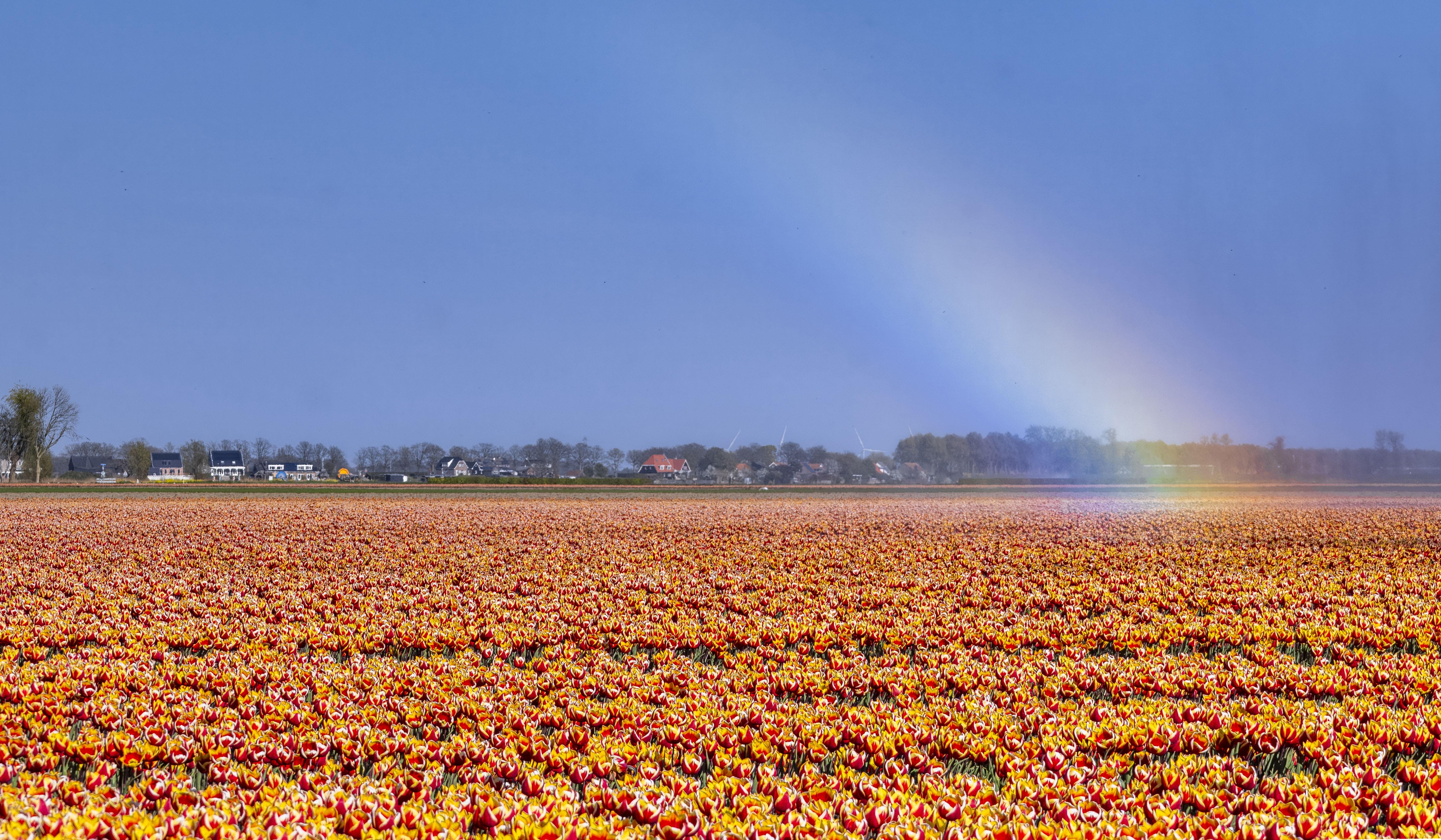 Hero Slideshow Image 2