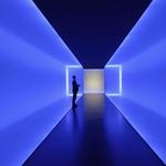 The Museum of Fine Arts, Houston