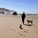 The Oregon Coast! Beaches and Hikes