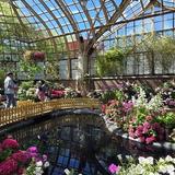 Lincoln Park Conservatory