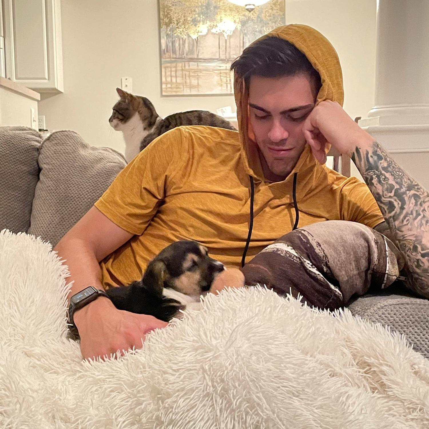 Another cat, and a dog