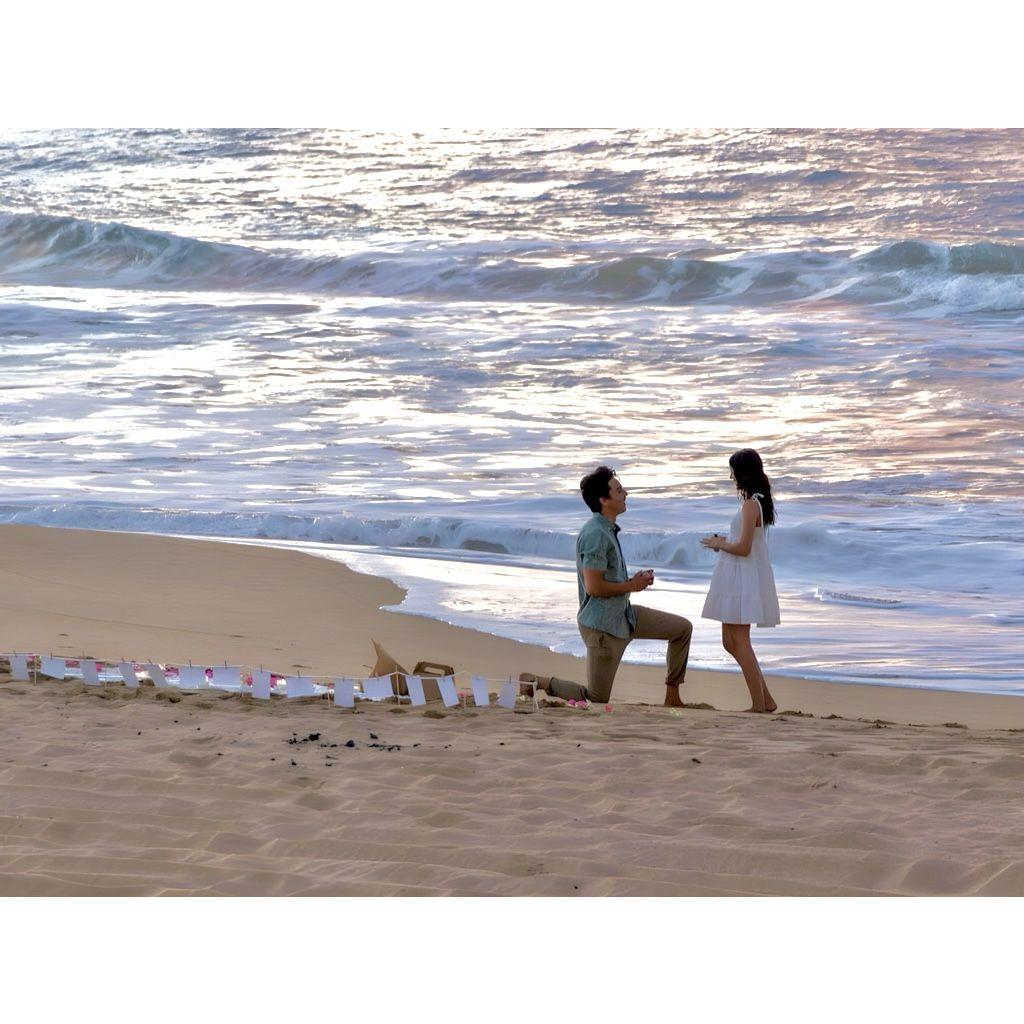 The Proposal, She Said YES!