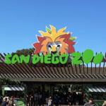 San Diego Zoo
