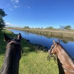 Orchid Stables Riding Club