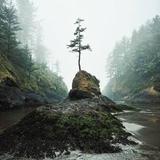Deadman's Cove