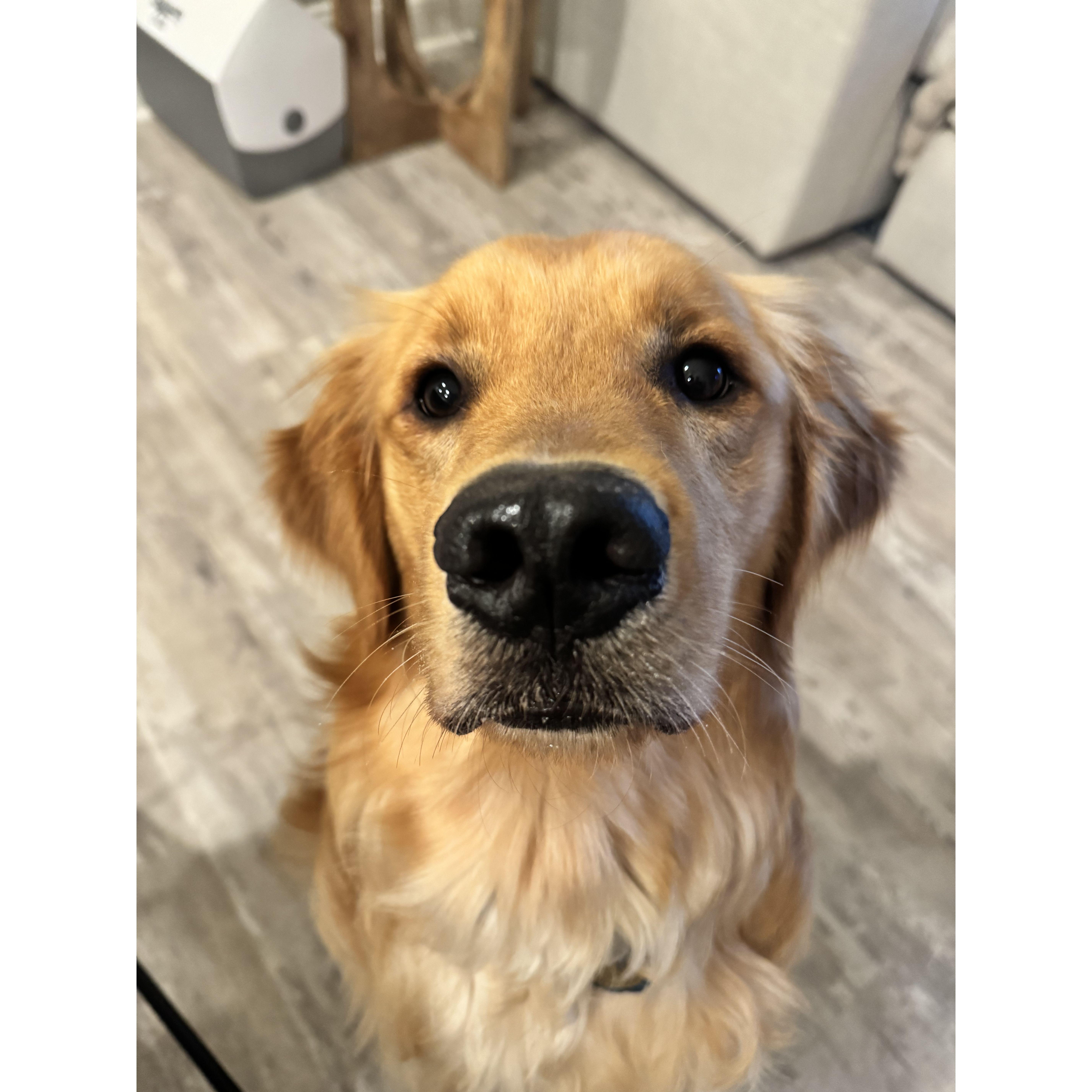 Our child - yes he is human!