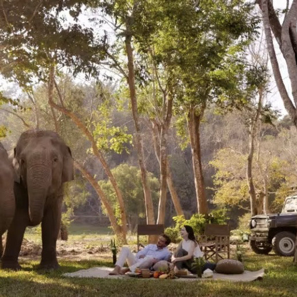 Elephant Picnic Golden Triangle