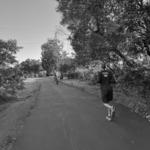 Los Gatos Creek Trail