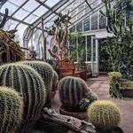 Lamberton Conservatory
