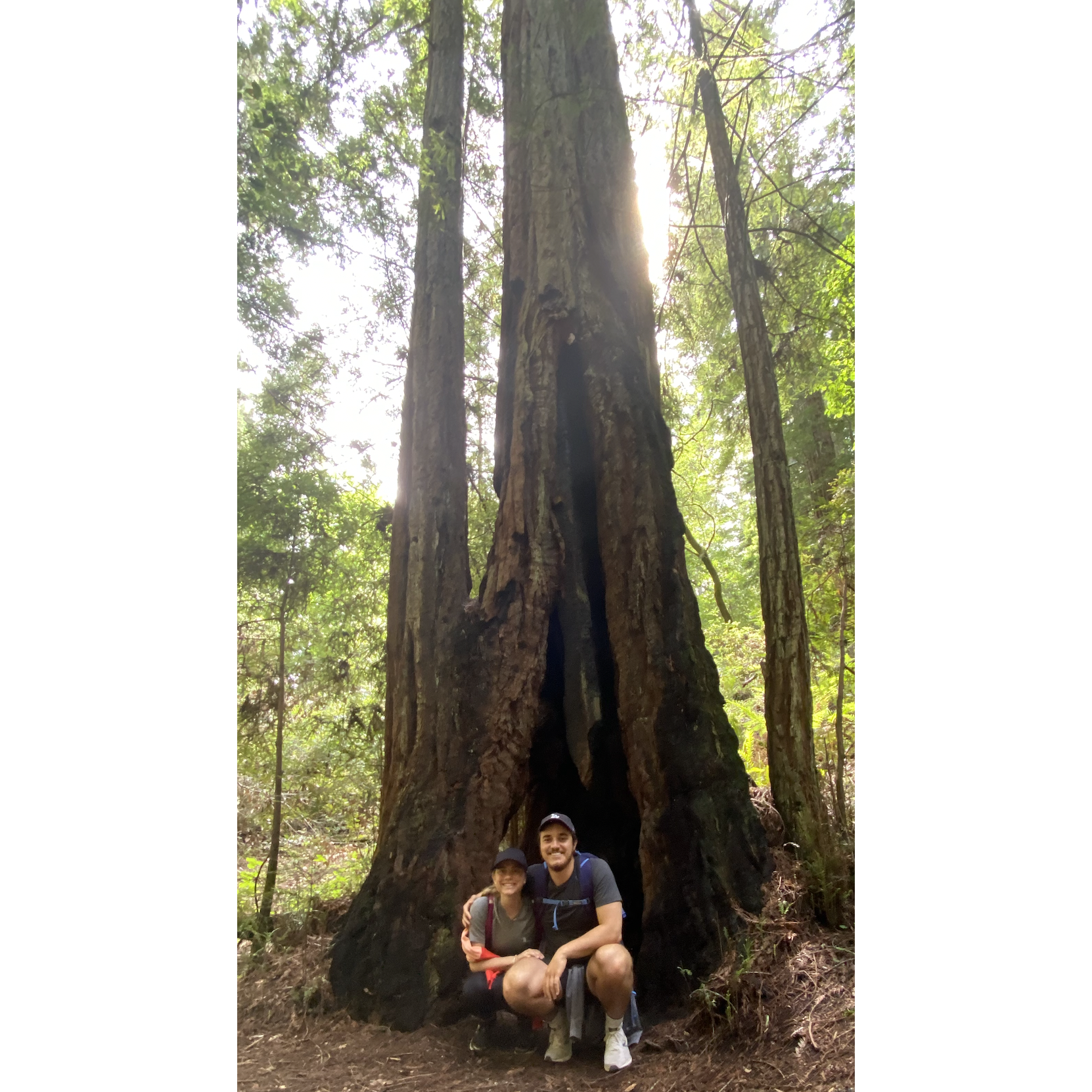 Mount Tamplais, Spring 2020