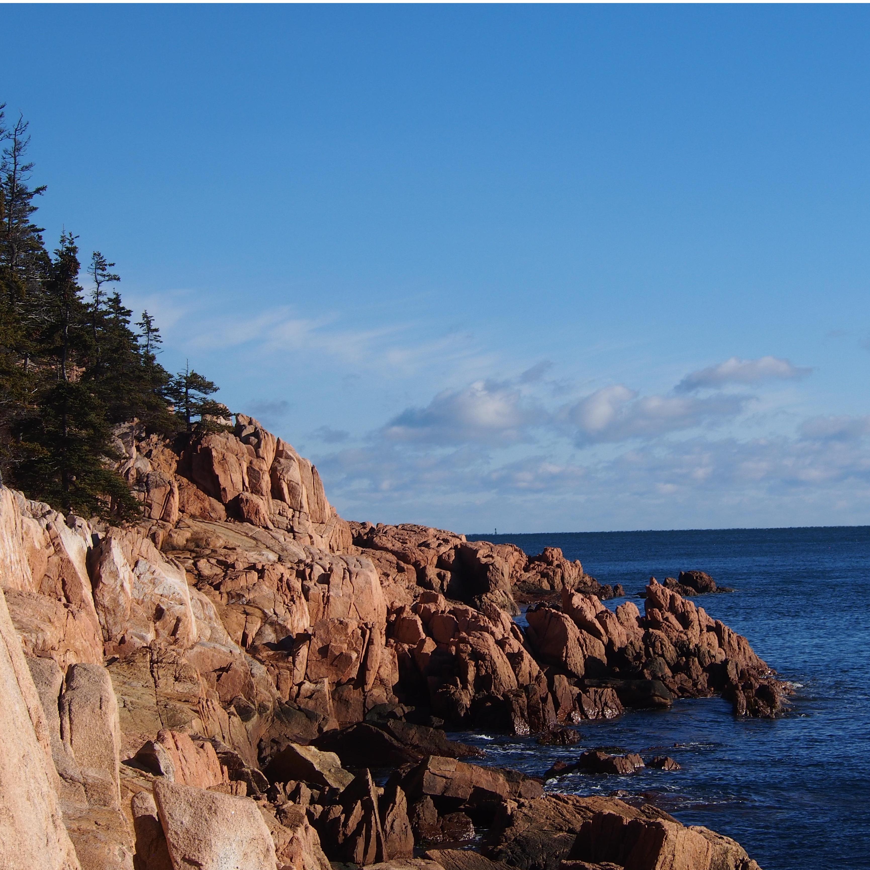 The Maine coast.