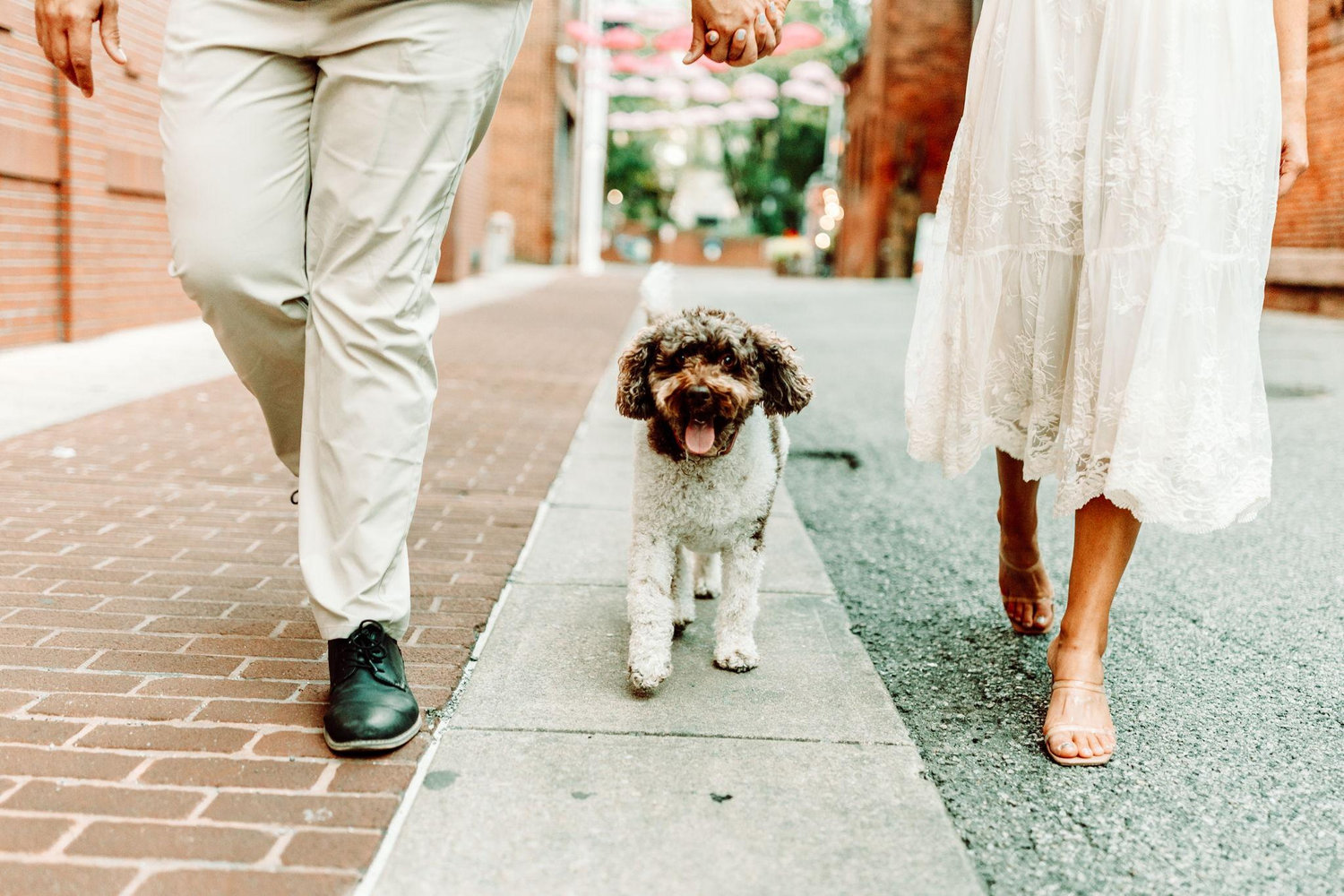 The Wedding Website of Sara Reynolds and Garrett Strous