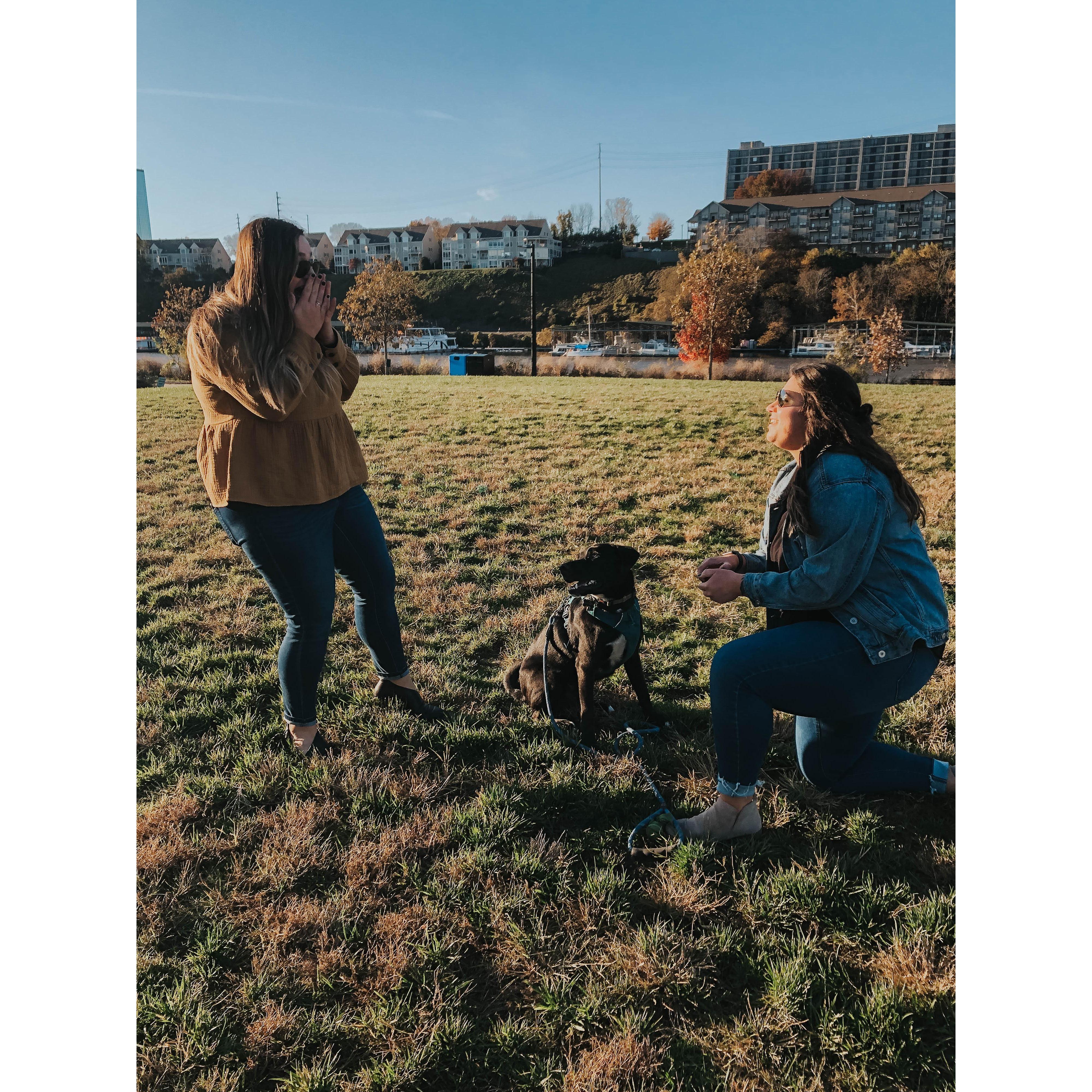 Hannah's proposal in November 2020!