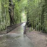 Hike near Cherokee, NC