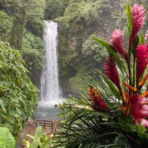 Rainforest Hike on our Honeymoon