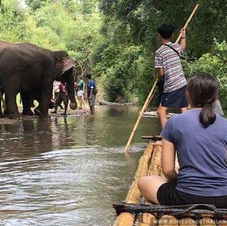Chiang Mai: Elephant Sanctuary, Waterfall & Bamboo Rafting