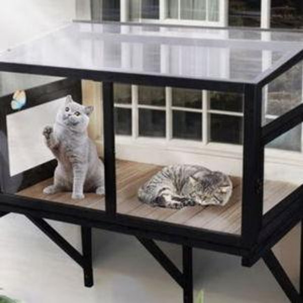 FunXplore Cat Window Perch
