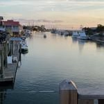 Shem Creek