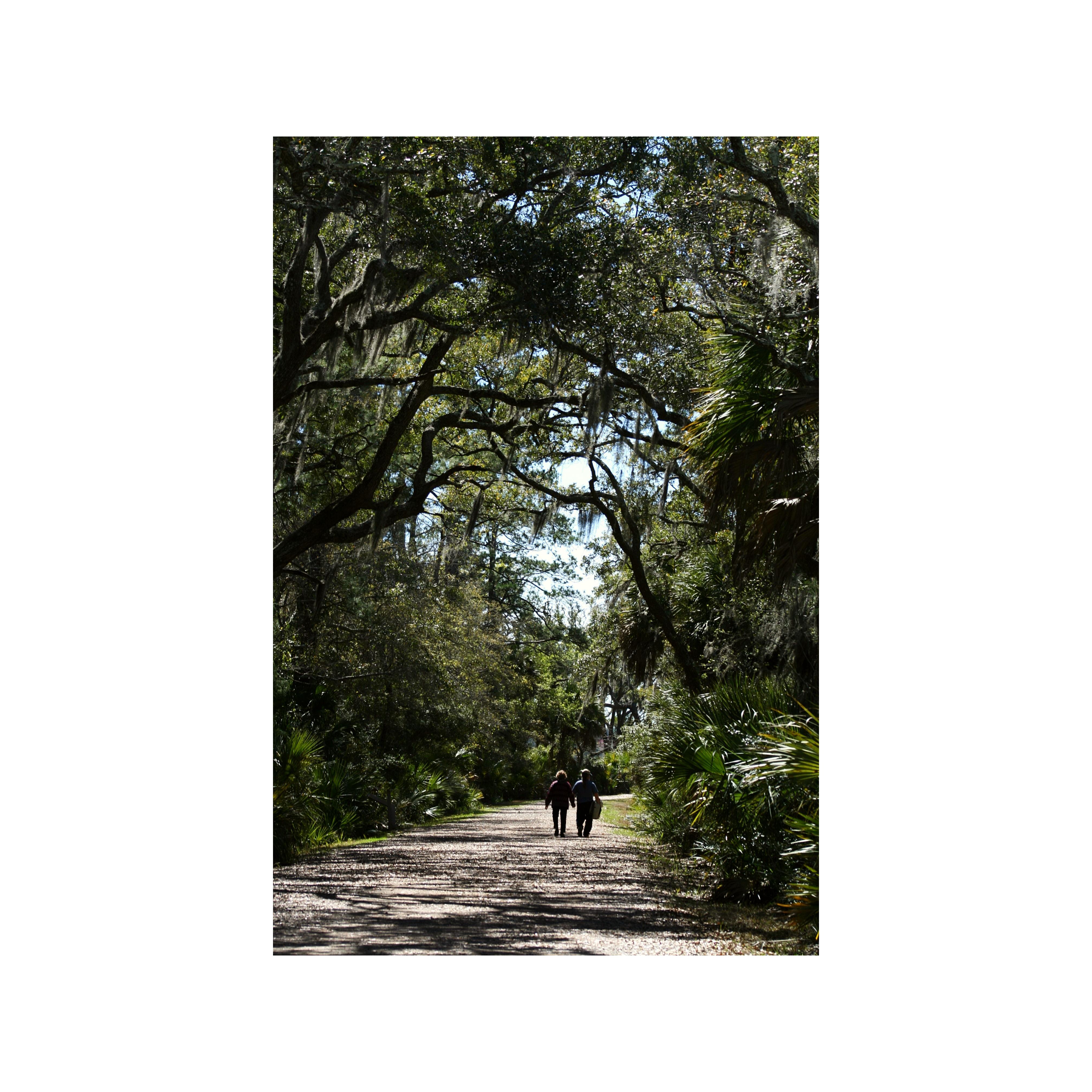 Pinckney Island National Wildlife Refuge