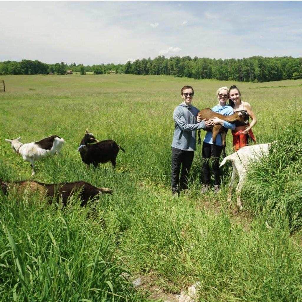 Morgan's birthday at the Maplebrook goat hike!