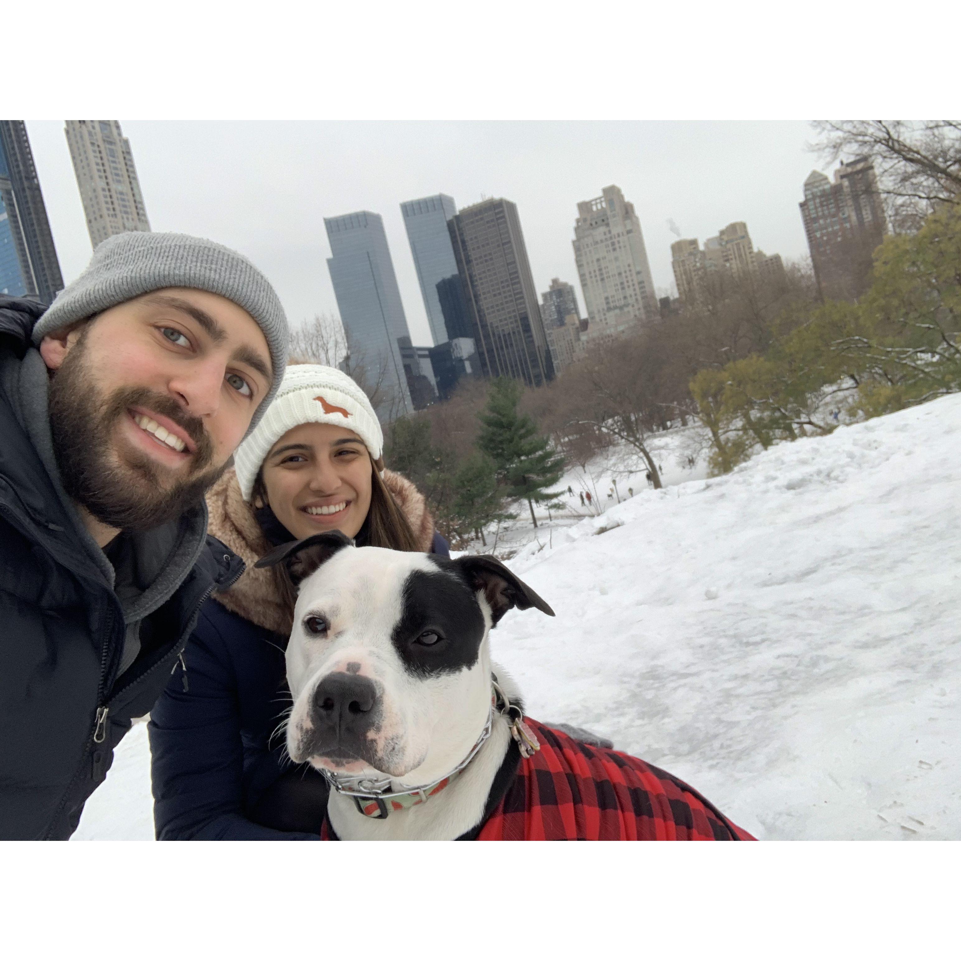 December 2020: Jen and Mark enjoy a snowy Central Park with Cleo as they visit the Saba Family in New York!