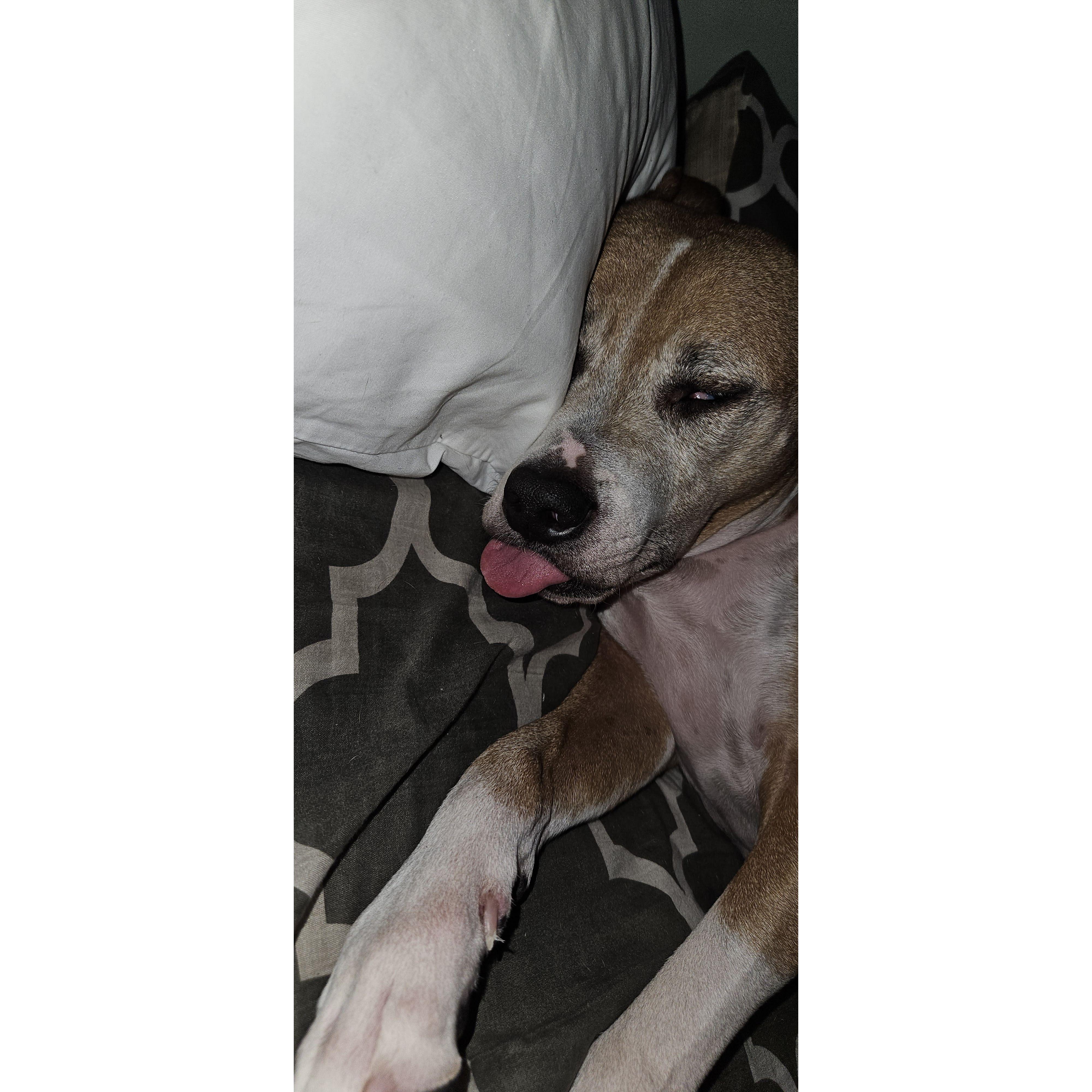 Our best girl sleeps in the craziest ways