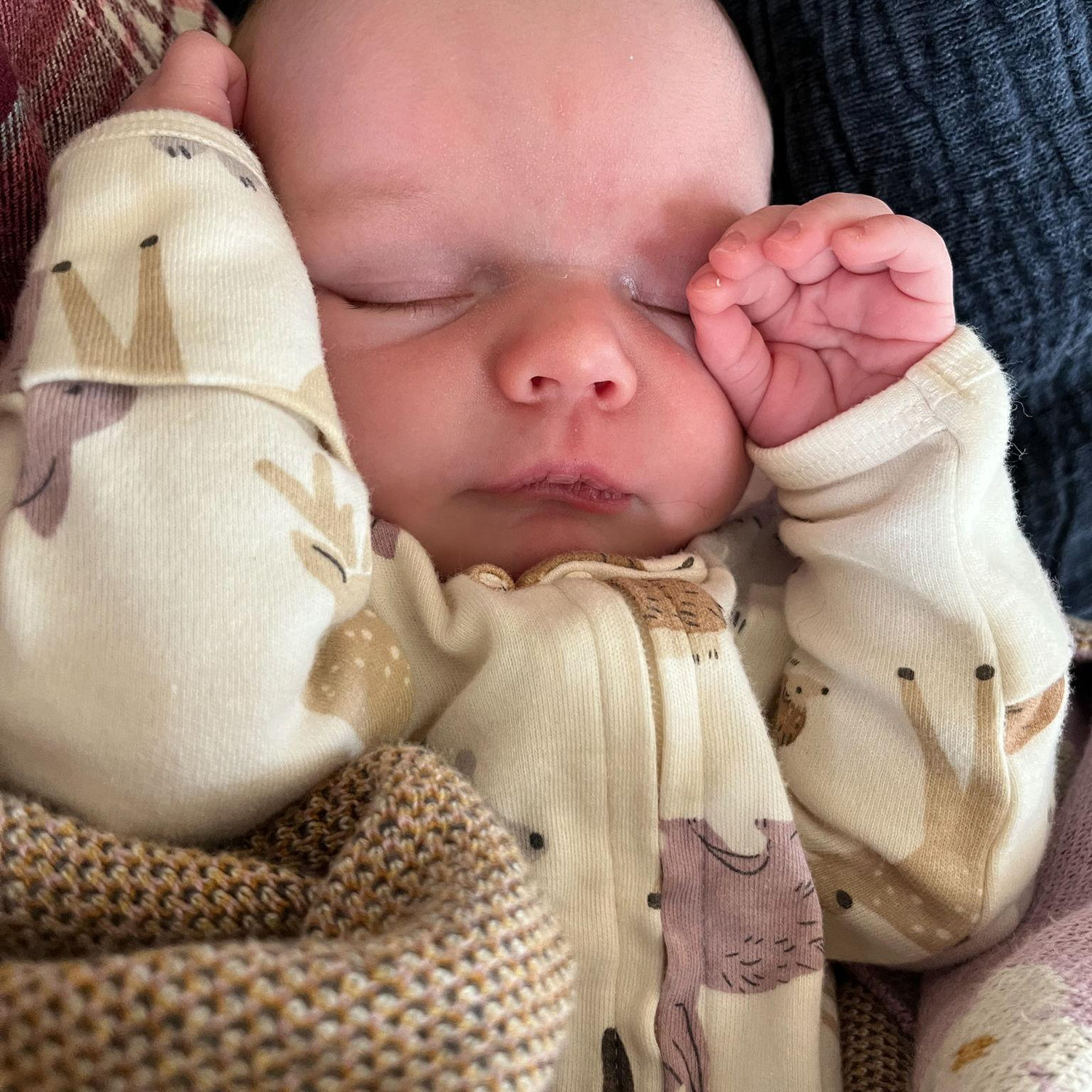 So many snuggles