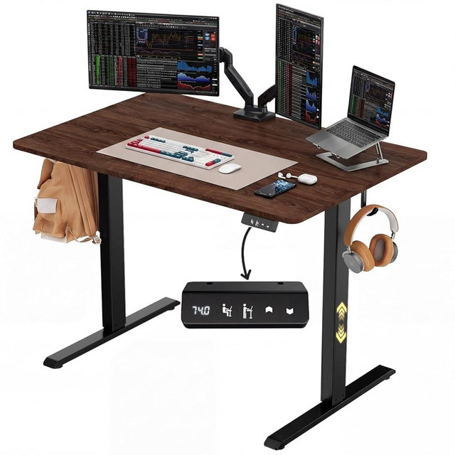 NEXT BEAUTY Electric Standing Desk 48" x 24", Height Adjustable 28"-46", Sit Stand Desk with Memory Presets, Smooth & Quiet Motor, Reinforced Frame, Easy Assembly, Ergonomic Home Office Desk
