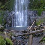 Marymere Falls Trail