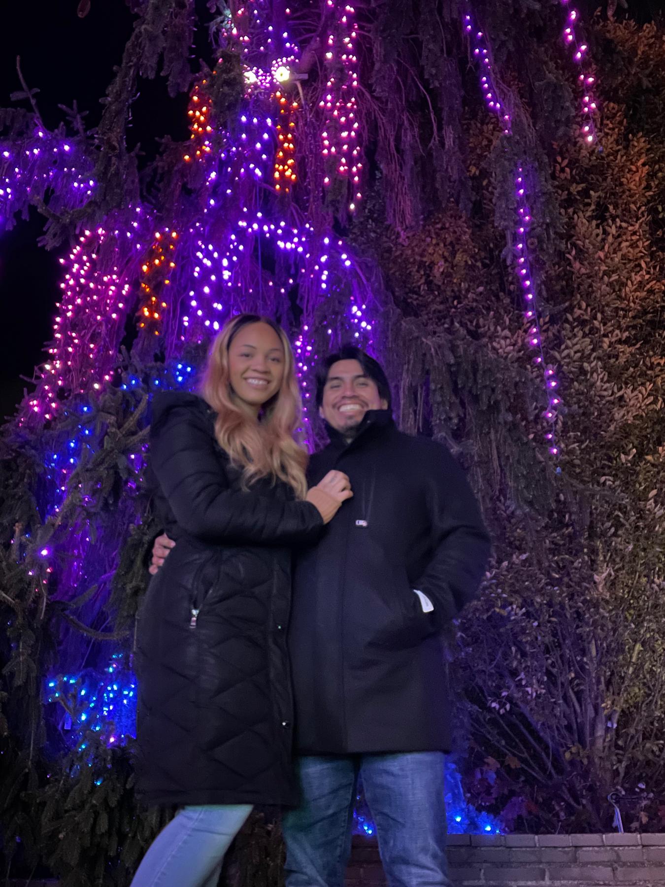 Lights Festival