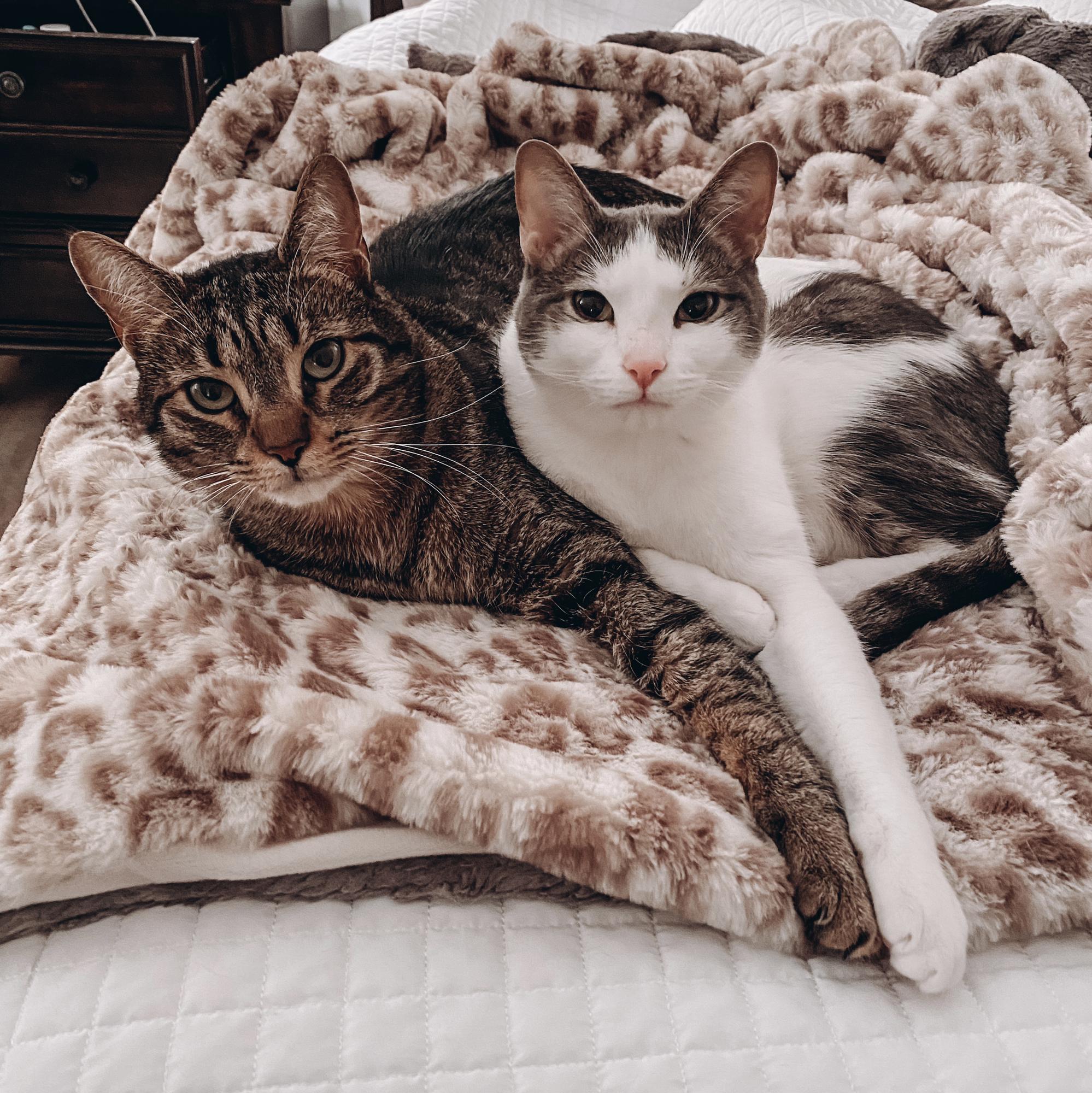 2021 Oliver and Milo