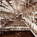 Seacliff, Sutro Baths