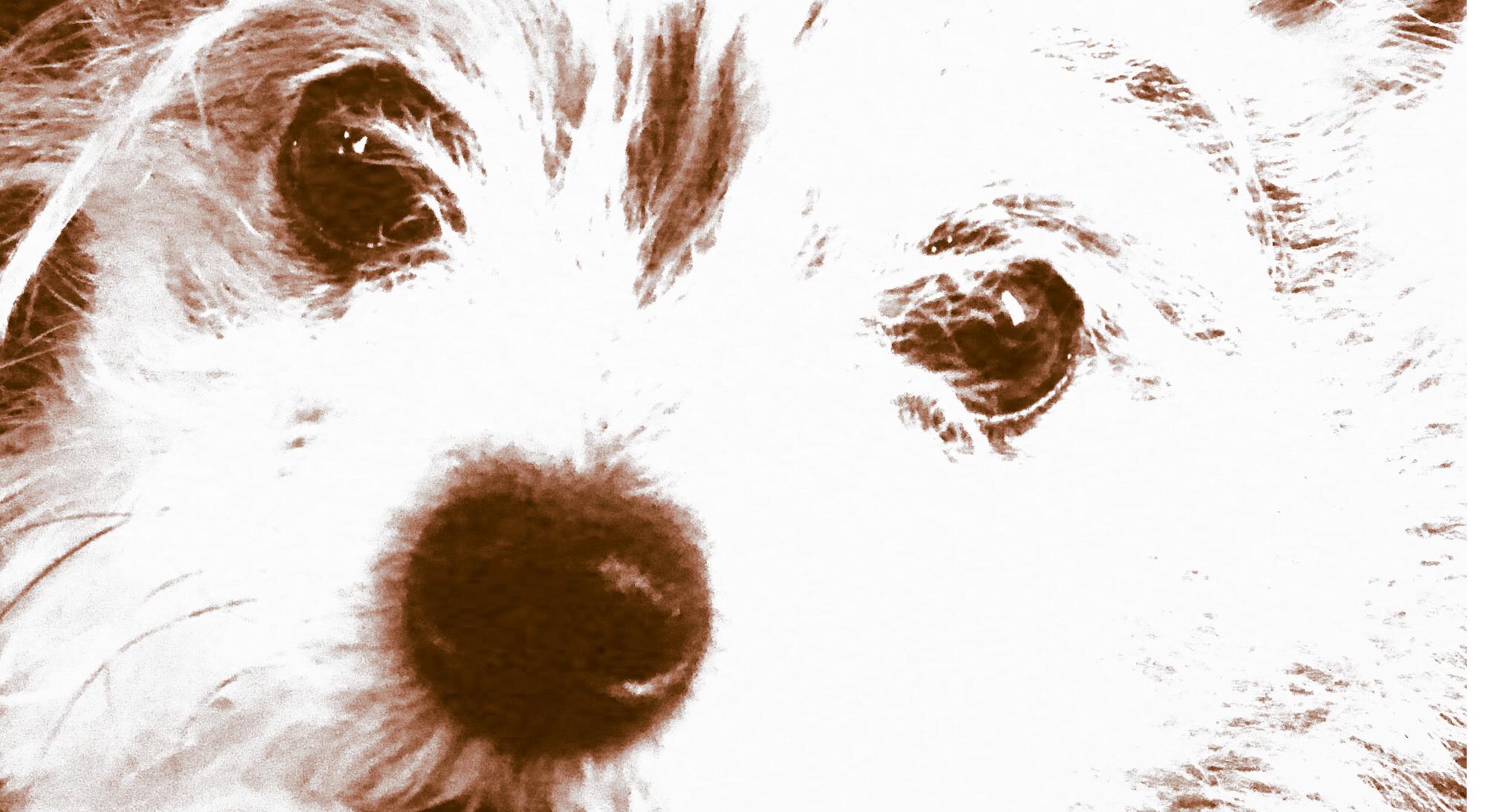 Footer image