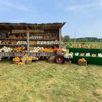 Grampa's Farm