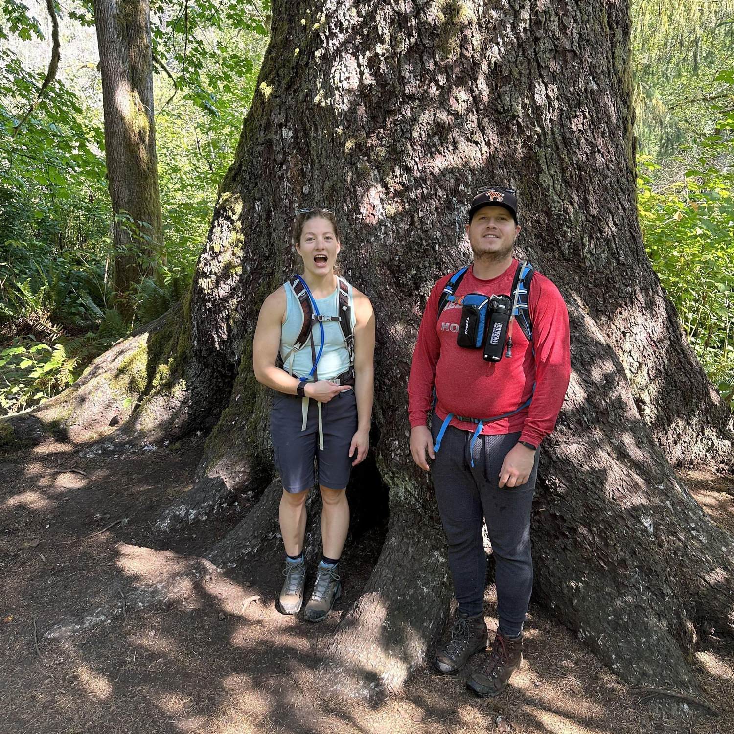 next to a big tree
